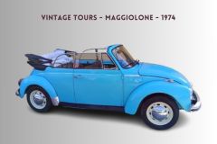 Vintage Tours