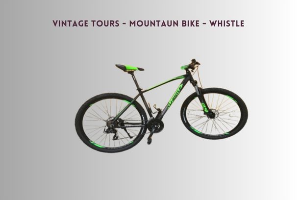 Vintage Tours mountain bike