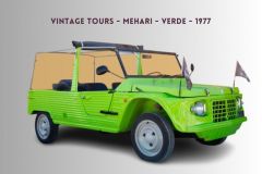 Vintage Tours