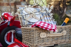 Vintage-Tours-Pic-nic-1