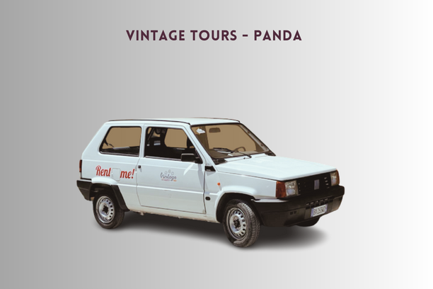 Vintage Tours Panda
