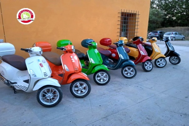 Vintage Tours vespa scooter